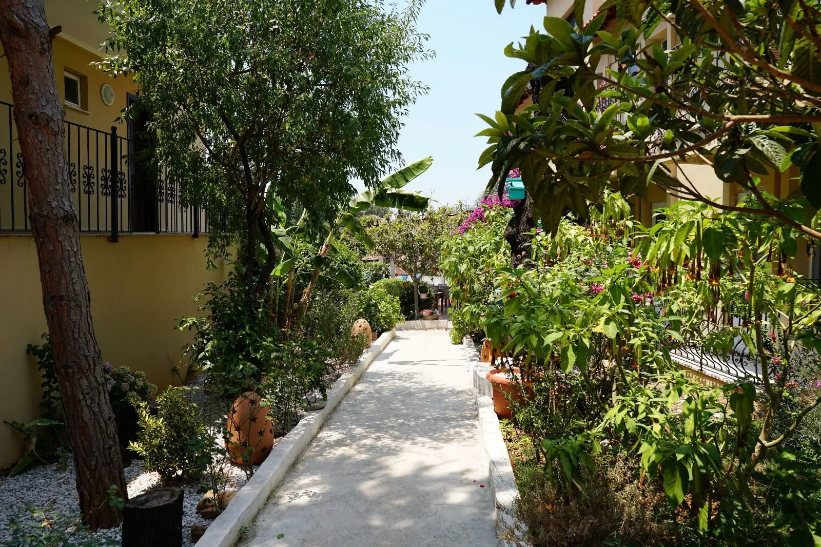 Ekonomik balayı, fotoğraf 3